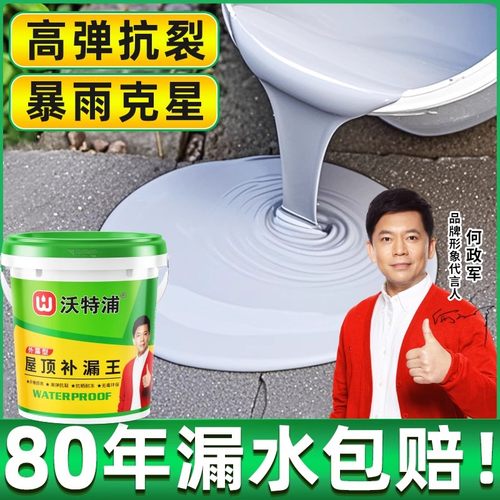沃特浦防水涂料明星代言屋顶专用