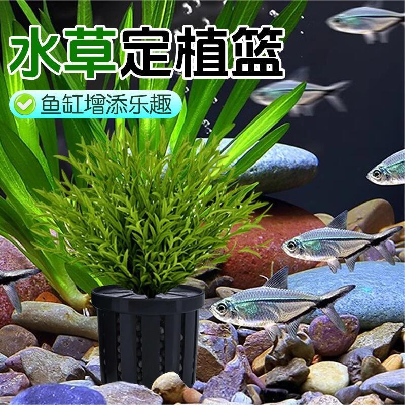 鱼缸水草固定器定植篮养草杯花卉固根器水草泥沉底家用造景装饰杯