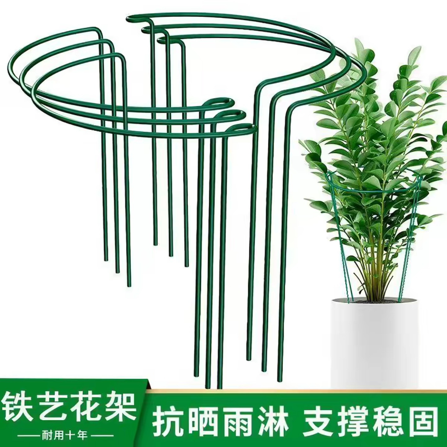 金钱树支撑杆植物花支架花卉龟背竹防倒伏虎皮兰固定支架爬藤花架