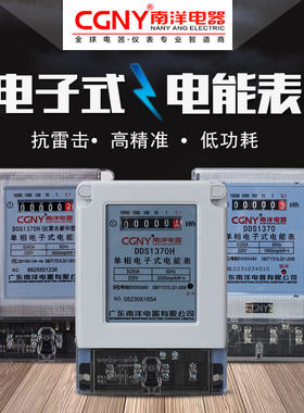 广东南洋家用高精度电子式