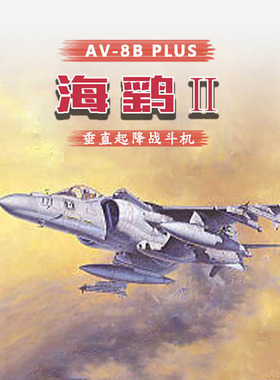 长谷川 飞机模型 07228 1:48 美国海军AV8B海鹞IIPLUS舰载战斗机