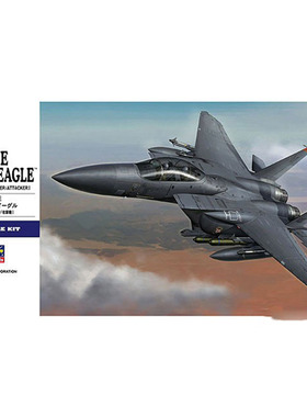长谷川 拼装模型 01569 1:72 美国空军F15E鹰式战斗攻击机