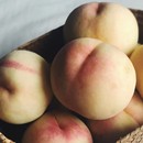 湖景上市正宗无锡阳水蜜桃山产地空运直发新鲜水果白凤可撕皮软桃