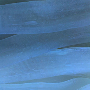 抚顺麻辣拌主料 专用宽粉 筋道好吃 麻辣拌一袋 100克20袋包邮