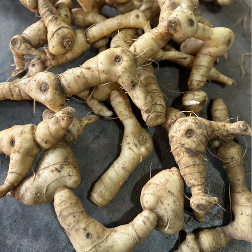 正品秦岭新鲜黄精鸡头黄精现挖现发非九蒸九晒纯野生黄精煲汤泡酒