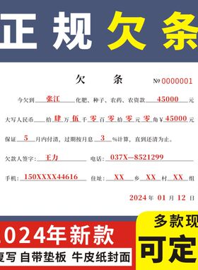 欠条正规法律认可个人借款欠款条农药农资种子化肥饲料通用手写单