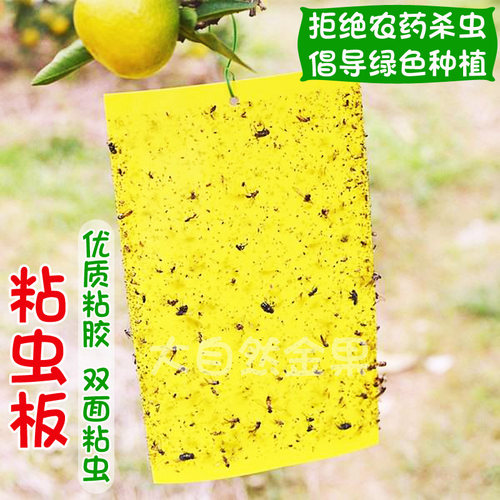强力粘虫板捕虫板诱虫板大棚捉虫板杀蚜虫粉虱小飞虫双面阳台菜园
