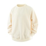 卫衣男款秋季内搭打底衫痞帅高级感长袖青少年无帽Q5568-特P35，男装T恤，星座610（原A335）