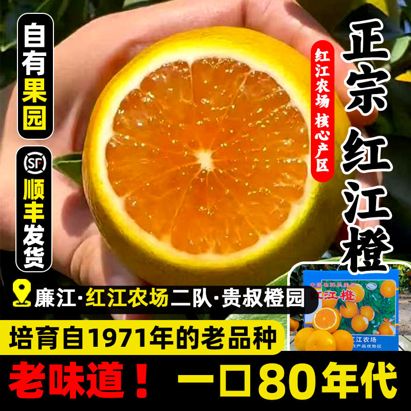 红江橙正宗红江农场广东湛江贵叔橙园特产旗舰店新鲜甜廉江红橙子