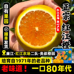 红江橙正宗红江农场广东湛江贵叔橙园特产旗舰店新鲜甜廉江红橙子