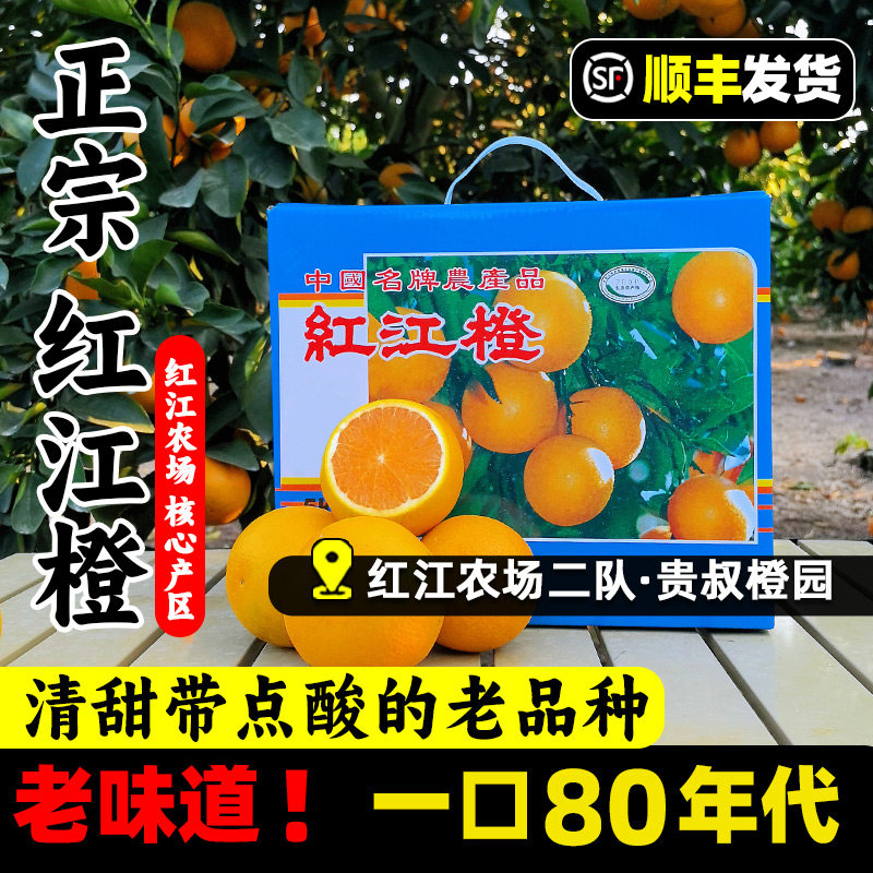 红江橙红江农场现摘现发广东湛江特产贵叔新鲜甜橙子正宗廉江红橙