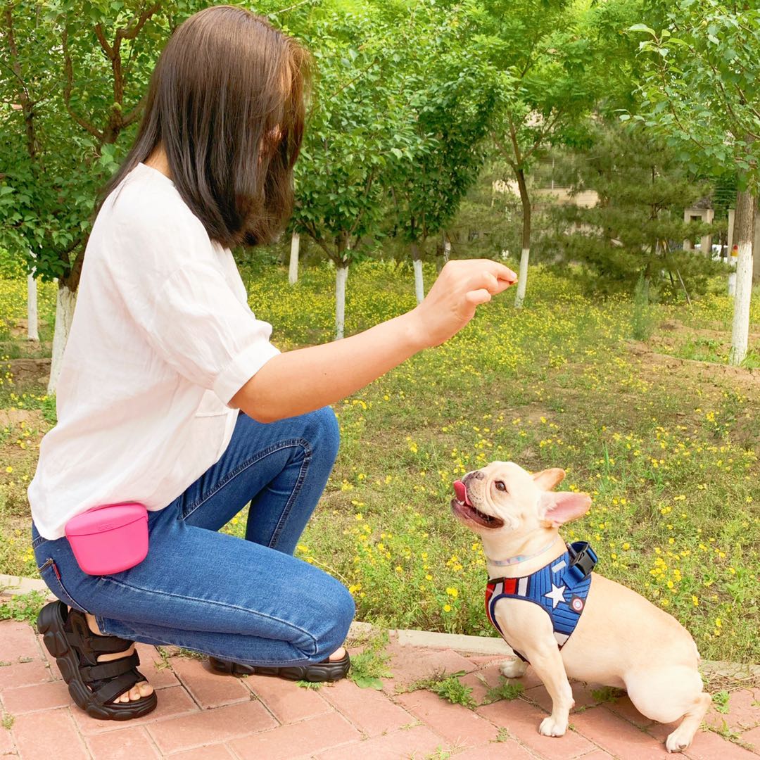 美国dexas训练旅行户外零食狗狗