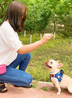 美国DEXAS狗狗训练包 外出旅行户外训练零食奖励腰包多功能便携包