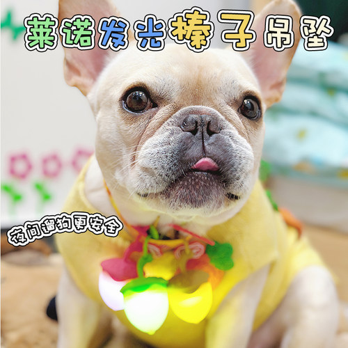 莱诺宠物LED发光吊坠夜间防丢牌