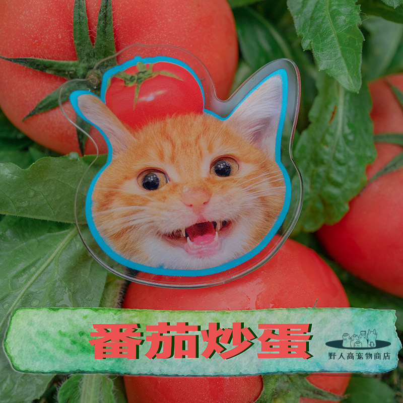 野人高宠物原创番茄炒蛋搞怪可爱猫咪手机气囊伸缩支架小红书同款