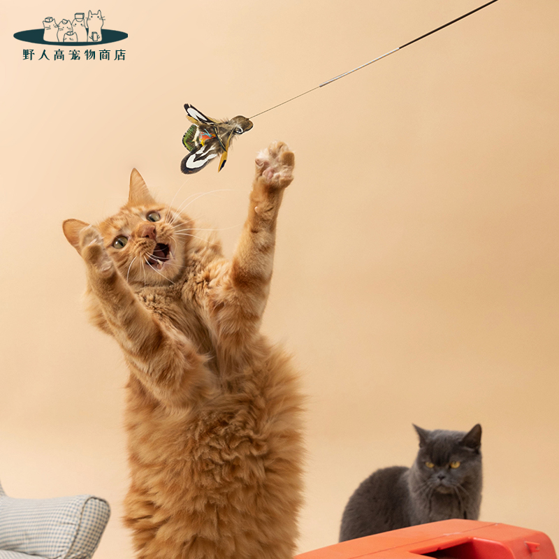 Meowcard赛级羽毛铃铛拍照逗猫棒