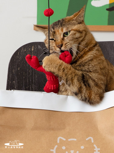 Meowcard逗猫棒钓鱼弹力小龙虾