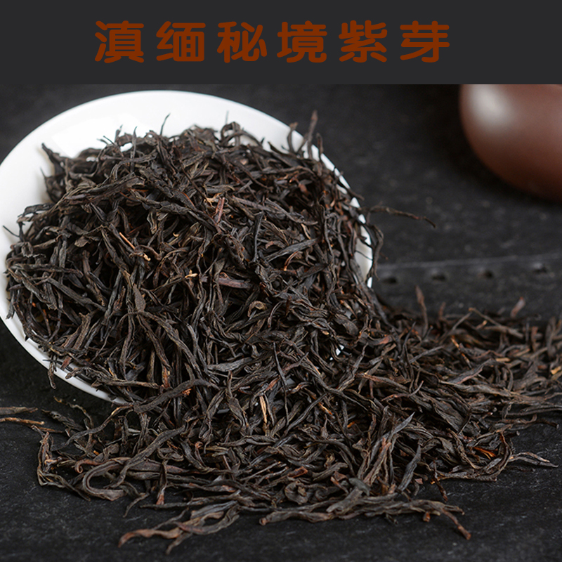 边境滇缅来自紫芽古树荒野普洱