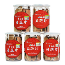 寿仙谷仿野生灵芝片300g泡茶打粉煲汤泡酒滋补赤灵芝有机