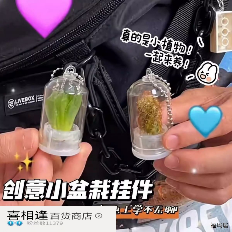 创意小盆栽试管绿色植物迷你多肉钥匙扣挂件仙人掌小礼品送人礼物