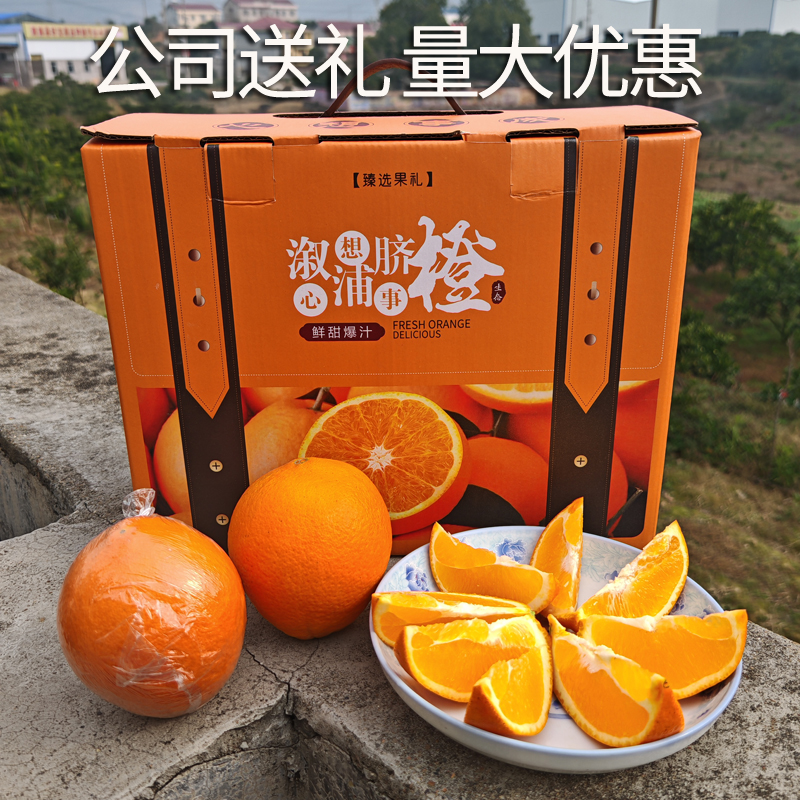 11年小雨家 溆浦脐橙礼盒装 公司送礼年货 精选大果 不打甜蜜素