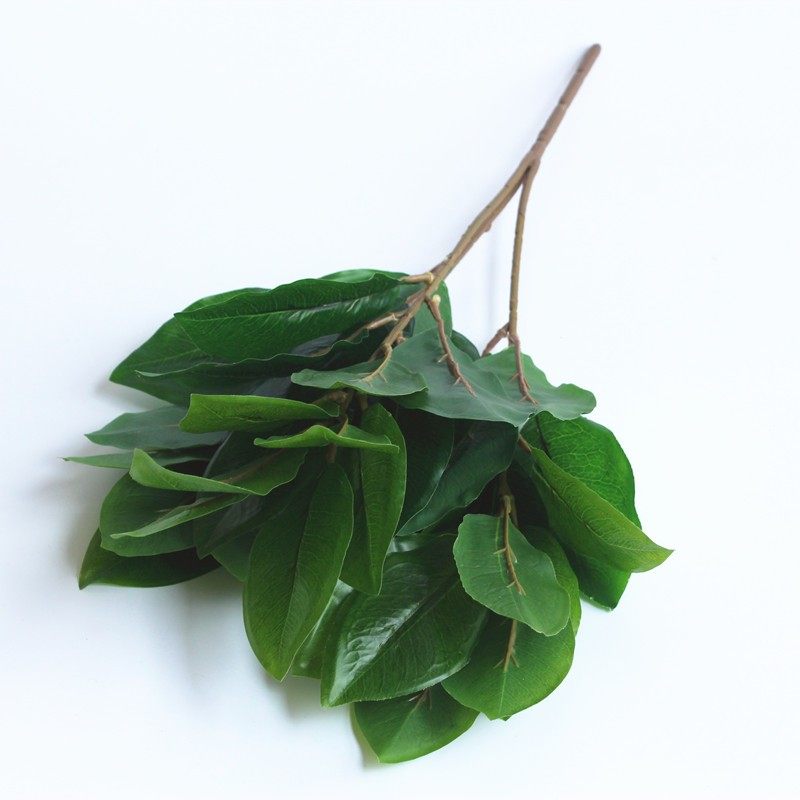 新品仿真植物绿植盆栽插花材料隔断装饰树叶单支50cm玉兰叶变色叶