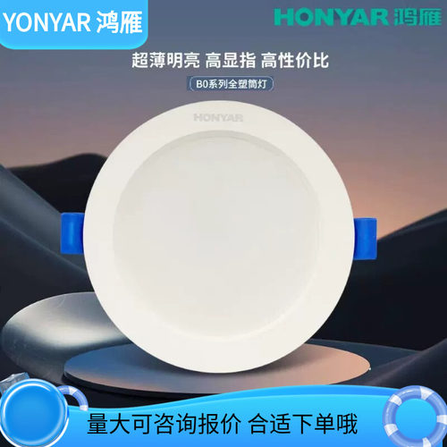 吊顶嵌入式筒灯HONYAR/鸿雁