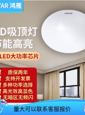 灯具阳台灯圆形吸顶灯led鸿雁