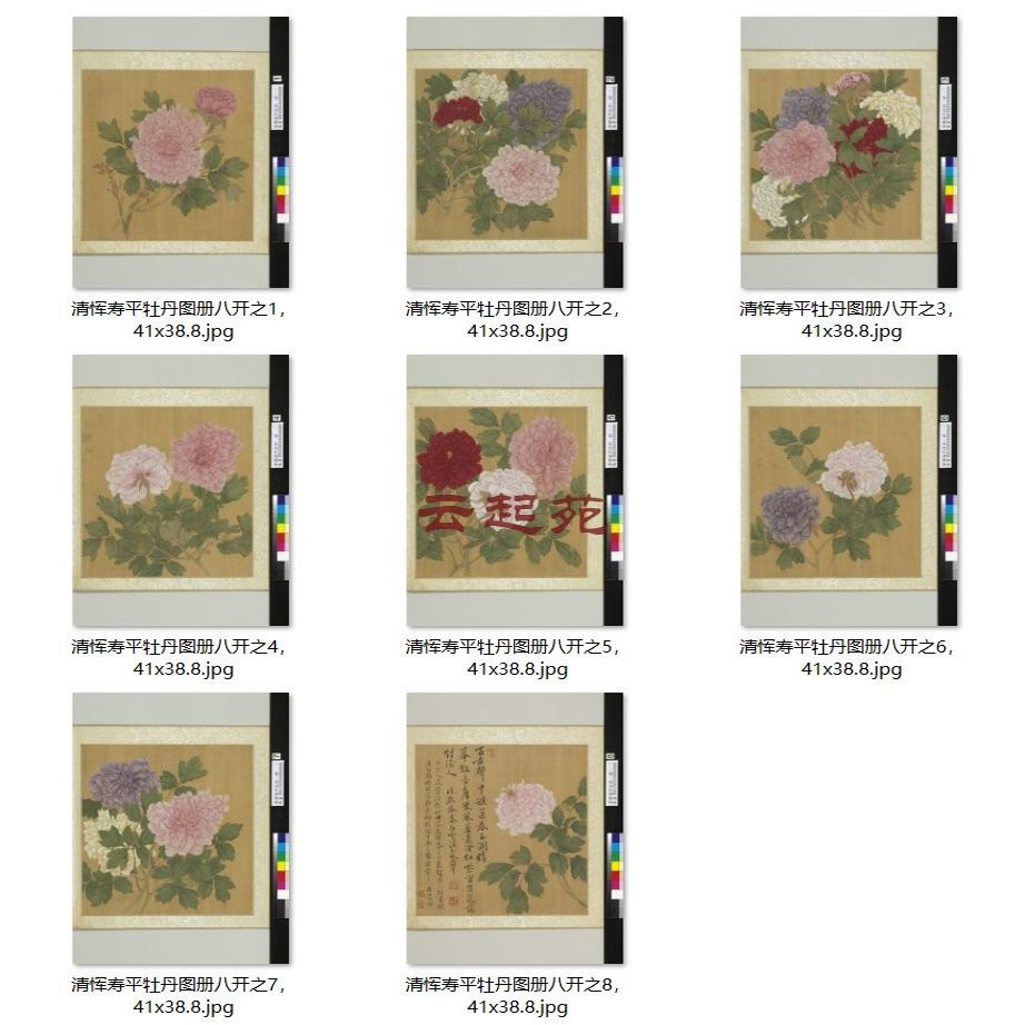 清恽寿平牡丹图CZTC八开高清电子图片762M装饰宣传素材