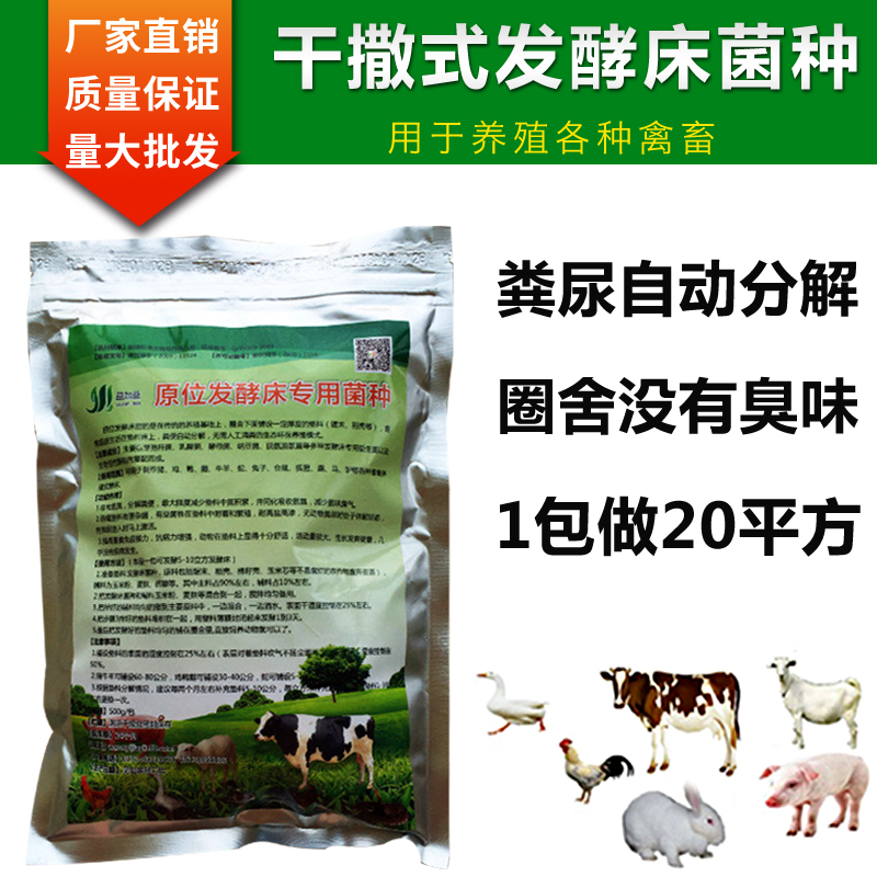 干撒式原位养鸡阳台益生菌发酵床