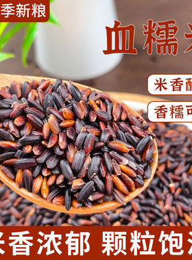 5斤正宗东北血糯米紫米新米包粽子饭团奶茶店专用黑糯米杂粮尝鲜