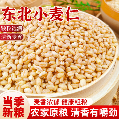2025东北新货新麦仁米小麦仁优质去皮脱壳带胚芽煮粥饭五谷杂粮