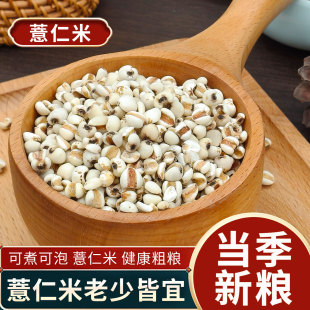 正宗薏仁米薏米仁新货煮粥喝可搭配赤豆红豆五谷杂粮粗粮油粒饱满