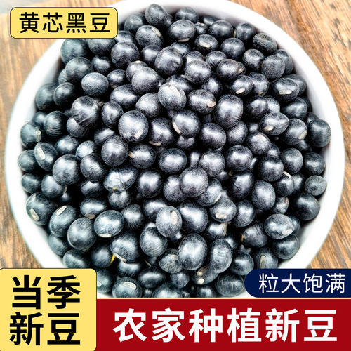 新豆黄芯黑豆圆粒东北杂粮豆浆黄芯五谷杂粮新货农家自产