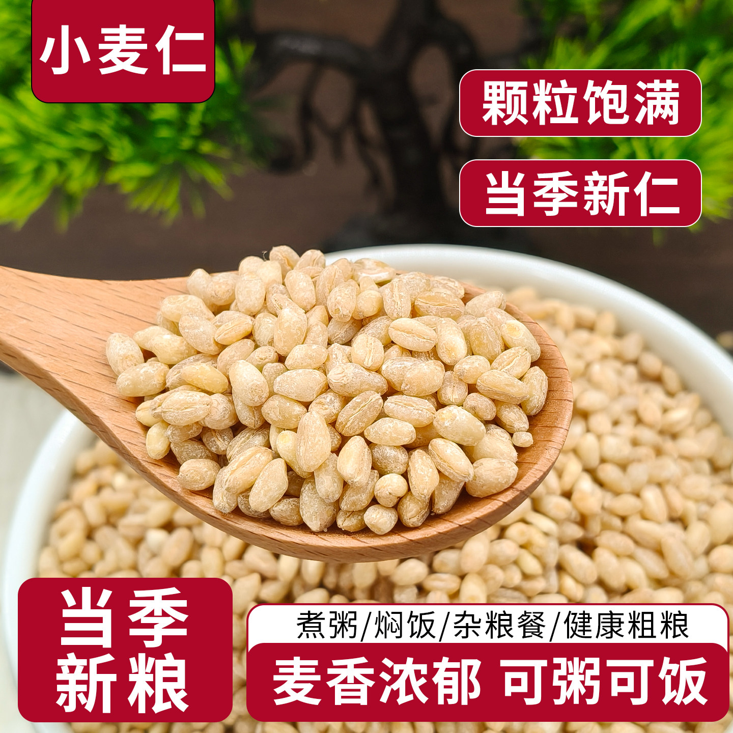 2025新小麦仁米农家纯小麦粒粗粮糙米五谷杂粮新鲜麦子去皮胚芽米图片