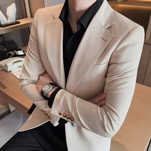 老款继续做XZ085-P208 两粒单排扣西装外套男士纯色商务休闲西服图片