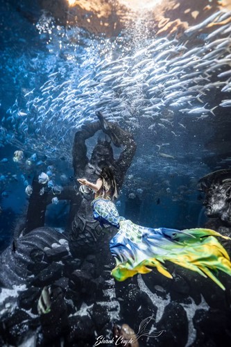 美人鱼鱼尾海洋馆自由潜YUNER