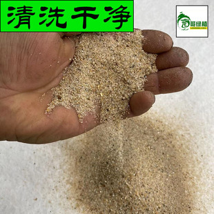 河沙花用 种植多肉 鱼缸底沙 颗粒粗沙 天然淡水细沙
