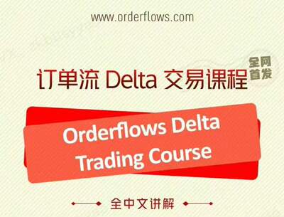 订单流Delta交易课程电子版视频+课件学习资料视频学习资料