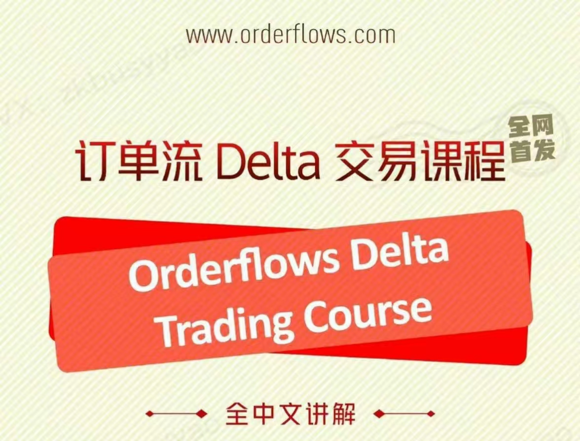 订单流Delta投资课程电子版视频+课件学习资料视频学习资料