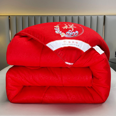 全棉蚕丝被春秋被夏凉被单双人子母被加厚保暖冬被芯特价空调被子