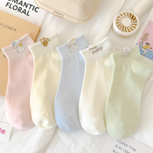 2026春夏秋小狗卡通棉短袜女彩色