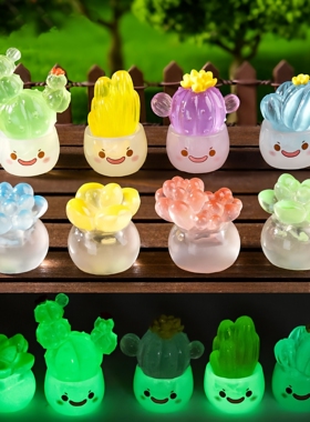 微景观生日夜光萌多肉仙人掌娃屋diy装饰花盆盲袋配件桌面小摆件
