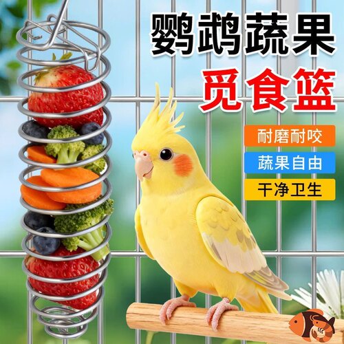 鸟类喂食器不锈钢水果蔬菜篮悬挂式玩具鹦鹉投喂神器鸟笼配件用品
