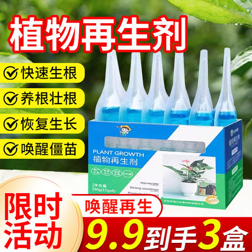 植物再生剂浓缩营养液急救绿植