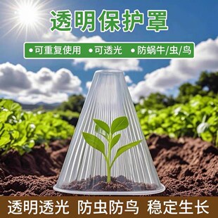 育苗保护罩加厚幼苗植物钟罩大棚菜苗霜冻大号保护防虫罩育苗神器