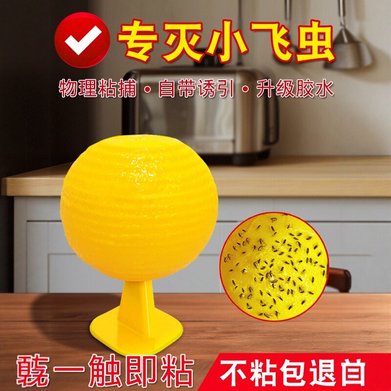 果蝇诱捕器小飞虫灭杀神器诱苍蝇
