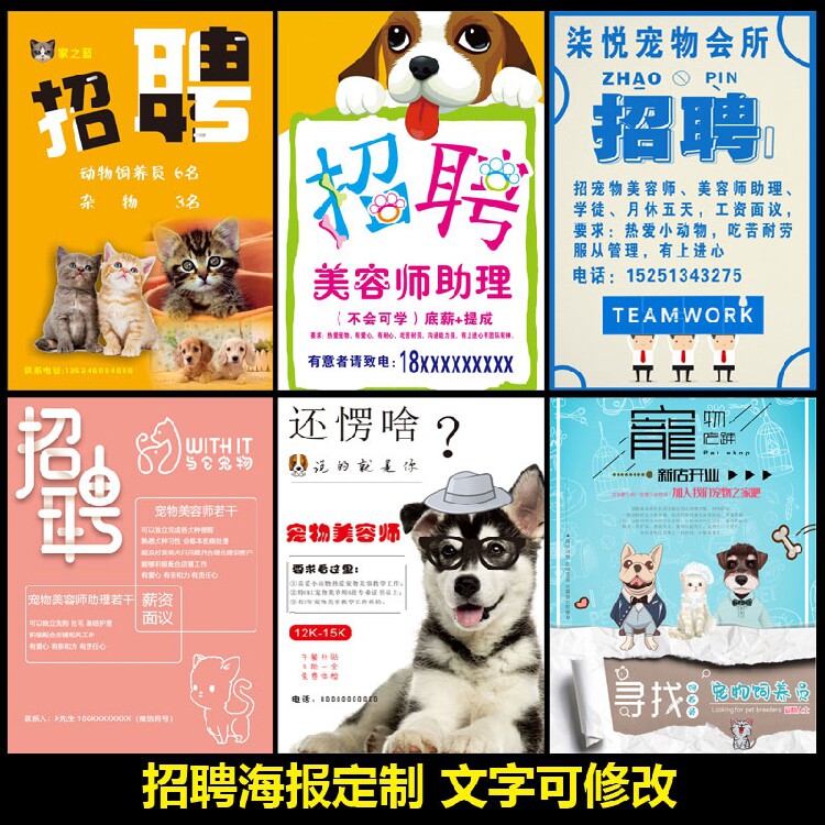 宠物店招聘美容师美容学徒助理海报背胶贴纸广告设计定制挂画1800