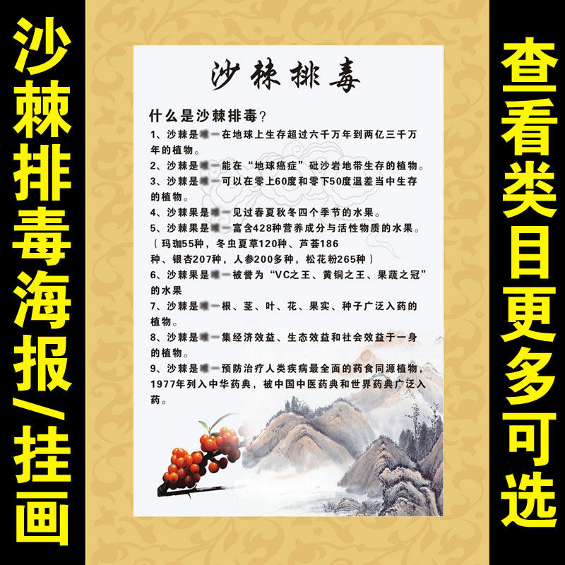 沙棘排毒排湿排风排酸海报宣传画挂画装饰画挂图广告无框画291