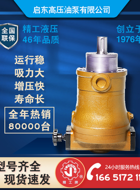 精工牌scy14-1B启东高压油泵 轴向柱塞泵压板机折弯打包增压液压